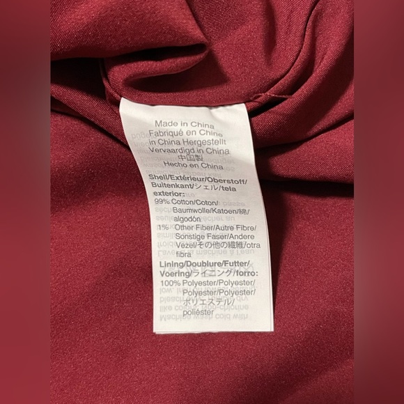 Madewell Button-Front Swing Dress in Swiss Dot - Picture 13 of 14